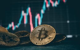 Giá Bitcoin hôm nay 24/2: Tích lũy cho một đợt tăng giá mạnh