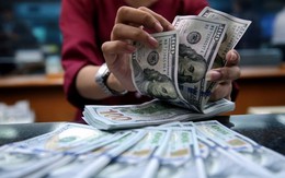 Tỷ giá USD ngày 6/4: Tỷ giá trung tâm giảm nhẹ 1 đồng