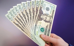 Tỷ giá USD ngày 11/5: Tỷ giá trung tâm tăng 2 đồng