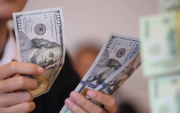 Tỷ giá USD ngày 12/5: Tỷ giá trung tâm tăng 8 đồng