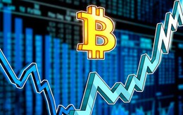 Giá Bitcoin hôm nay 23/5: Quay đầu tăng nhẹ
