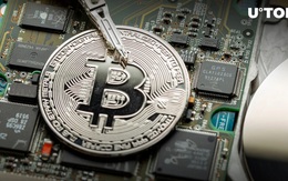 Giá Bitcoin hôm nay 4/5: Sắc xanh trở lại với Bitcoin