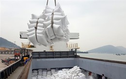 4 tháng đầu năm, xuất khẩu gạo Việt Nam vượt mốc 1 tỷ USD
