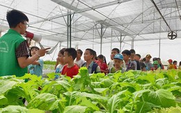 Hà Nội: Phát triển du lịch nông nghiệp, nông thôn theo hướng tăng trưởng xanh, bền vững