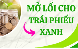 Mở lối cho trái phiếu xanh