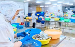 Cà Mau: Lập tổ công tác đặc biệt tháo gỡ khó khăn cho doanh nghiệp, nhà đầu tư
