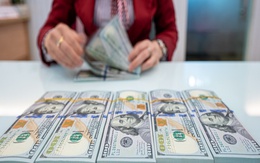 Tỷ giá USD ngày 15/6: Tỷ giá trung tâm tăng 4 đồng, lên mức 23.704 VND/USD