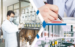 Hà Nội lập 2 đoàn kiểm tra về phát triển KHCN và đổi mới sáng tạo