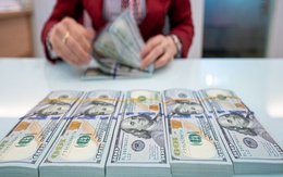 Tỷ giá USD hôm nay (7/9): Tỷ giá trung tâm giảm 12 đồng