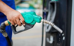 Hơn 92% cửa hàng bán lẻ xăng dầu triển khai xuất hoá đơn điện tử sau từng lần bán