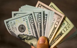 Tỷ giá USD hôm nay 1/10: Tỷ giá trung tâm ổn định