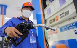 Giá xăng trong nước dự báo tăng trong kỳ điều hành ngày 2/10