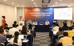 VietShrimp Asia 2026 và Aquaculture Vietnam 2026: Cơ hội 'vàng' để thuỷ sản Việt vươn tầm thế giới
