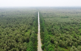 72,7% doanh nghiệp nông nghiệp đã xây dựng chiến lược ESG toàn diện