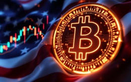 Giá Bitcoin hôm nay 17/10: Bitcoin đang dần trở thành một kênh đầu tư