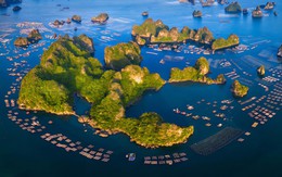 Quảng Ninh: Xây dựng Đề án cơ chế, chính sách đặc thù cho Đặc khu kinh tế Vân Đồn