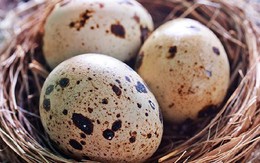 Khuyên thật: Đi chợ mua trứng nhớ 5 bí quyết này, trứng ngon, để được lâu