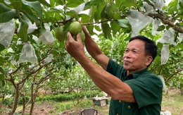 Người giữ hồn mật ngọt: Ba mươi năm và giấc mơ giữ nghề cho con cháu