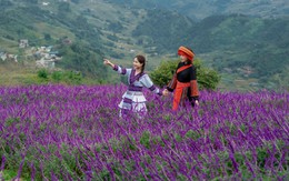 Lạc vào “miền cổ tích” trên đỉnh Fansipan mùa mây