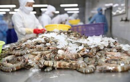 Việt Nam giữ vững vị trí thứ 3 về cung ứng thủy sản tại thị trường Singapore