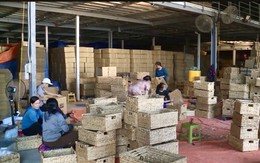 Doanh nhân trẻ Thanh Hóa tiên phong thúc đẩy phát triển kinh tế tư nhân