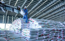 Campuchia tiếp tục là thị trường xuất khẩu phân bón lớn nhất của Việt Nam