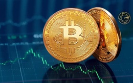 Giá Bitcoin hôm nay 28/10: Nhà đầu tư kỳ vọng giá Bitcoin tăng mạnh