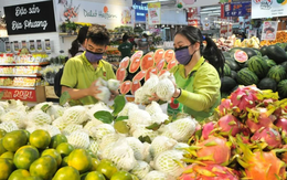 Việt Nam trở thành nguồn cung rau quả lớn thứ tư cho thị trường Đài Loan