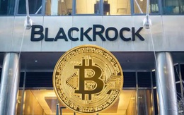 Giá Bitcoin hôm nay 30/10: IBIT của BlackRock thúc đẩy dòng tiền dương cho Bitcoin ETF