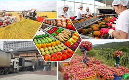 Tháo gỡ vướng chính sách thuế GTGT với nông sản và thức ăn chăn nuôi