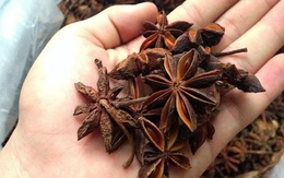 Việt Nam xuất khẩu hơn 11.000 tấn hoa hồi trong 9 tháng