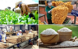 Xuất khẩu nông lâm thủy sản 9 tháng đạt hơn 52 tỷ USD