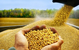 Nhập khẩu hàng hóa từ Mỹ về Việt Nam tăng gần 24%