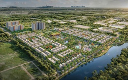 TTC Land: Hoàn thành 118% kế hoạch doanh thu năm và 134% lợi nhuận trước thuế