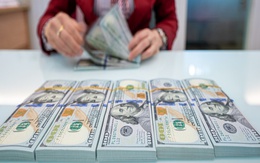 Tỷ giá USD hôm nay 31/10: Tỷ giá trung tâm tăng 2 đồng