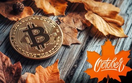 Giá Bitcoin hôm nay 1/11: “Uptober” gây thất vọng