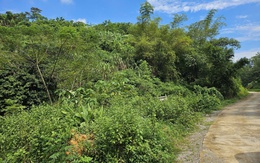 Đầu tư vào thiên nhiên là chìa khóa cho tương lai thịnh vượng