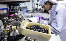 Việt Nam có "kho báu" làm nên chuyện trong lĩnh vực 1.000 tỷ USD, Nhật Bản rất muốn hợp tác