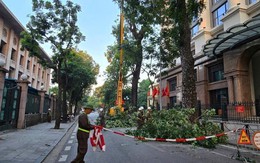 Hà Nội: Triển khai nghiêm túc phương án ứng phó bão số 11 Matmo
