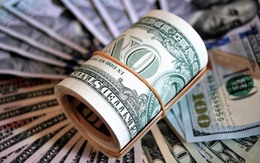 Tỷ giá USD hôm nay 7/10: Tỷ giá trung tâm giảm 5 đồng