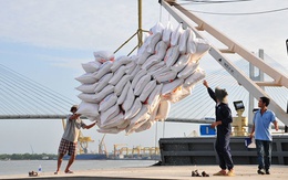 Xuất khẩu gạo 9 tháng tăng 0,1% về lượng nhưng giá trị giảm tới 18,5%