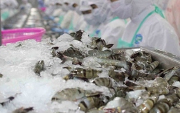 10 tháng, Việt Nam chi khoảng 2,73 tỷ USD nhập khẩu thủy sản