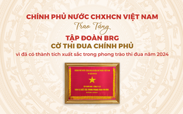 Tập đoàn BRG được trao tặng Cờ thi đua của Chính phủ