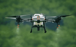 Một dự án 5 triệu USD của Liên hợp quốc có thể "thay đổi cuộc đời" của 21.000 người Việt Nam