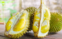 Việt Nam trở thành nguồn cung rau quả lớn thứ 2 tại thị trường Trung Quốc