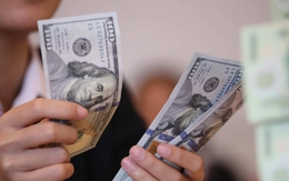 Tỷ giá USD hôm nay 13/11: Tỷ giá trung tâm giảm 4 đồng