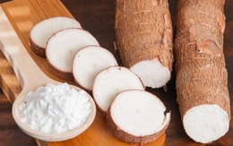 Xuất khẩu sắn đạt hơn 1 tỷ USD sau 10 tháng năm 2025