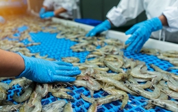 Nông sản Việt Nam hưởng lợi từ chính sách thuế mới của Hoa Kỳ