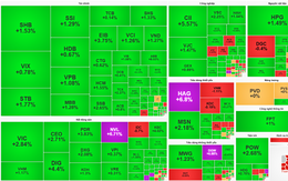 Thị trường chứng khoán duy trì sắc xanh với gần 500 mã tăng