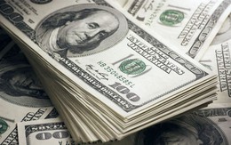 Tỷ giá USD hôm nay 19/11: Tỷ giá trung tâm ổn định